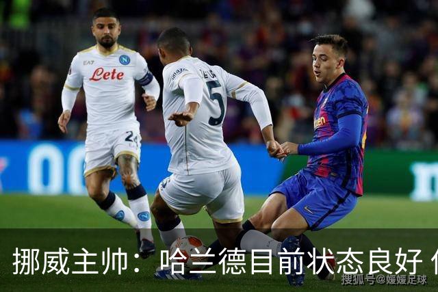 挪威主帅：哈兰德目前状态良好 他是世界上最好的射手